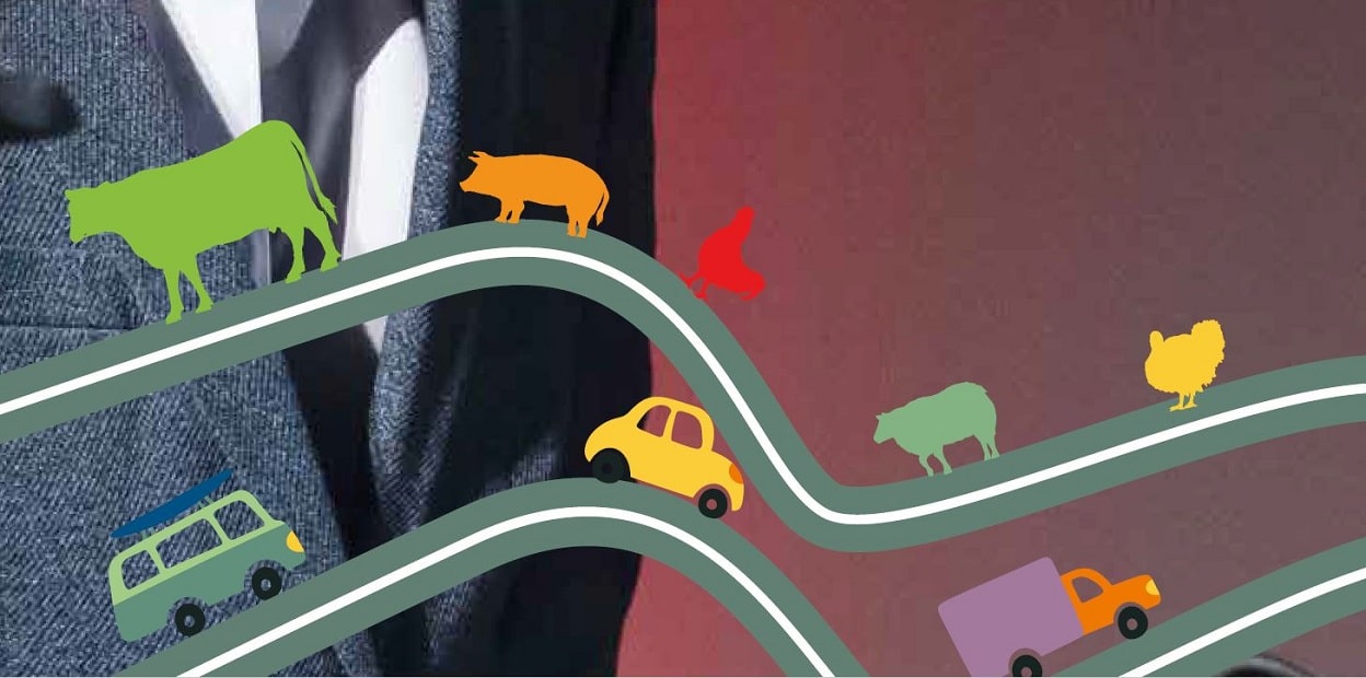Eine grafische Darstellung zeigt zwei Autobahnen: In eine Richtung laufen Rind, Schwein und Hühner. In die andere Richtung fahren Autos.